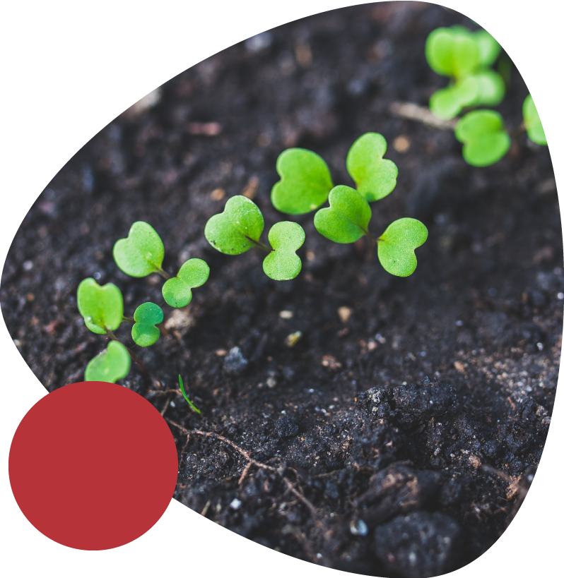 https://rexford.eu/wp-content/uploads/2020/02/urea.png